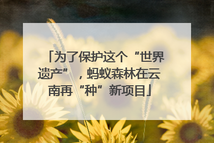为了保护这个“世界遗产”，蚂蚁森林在云南再“种”新项目